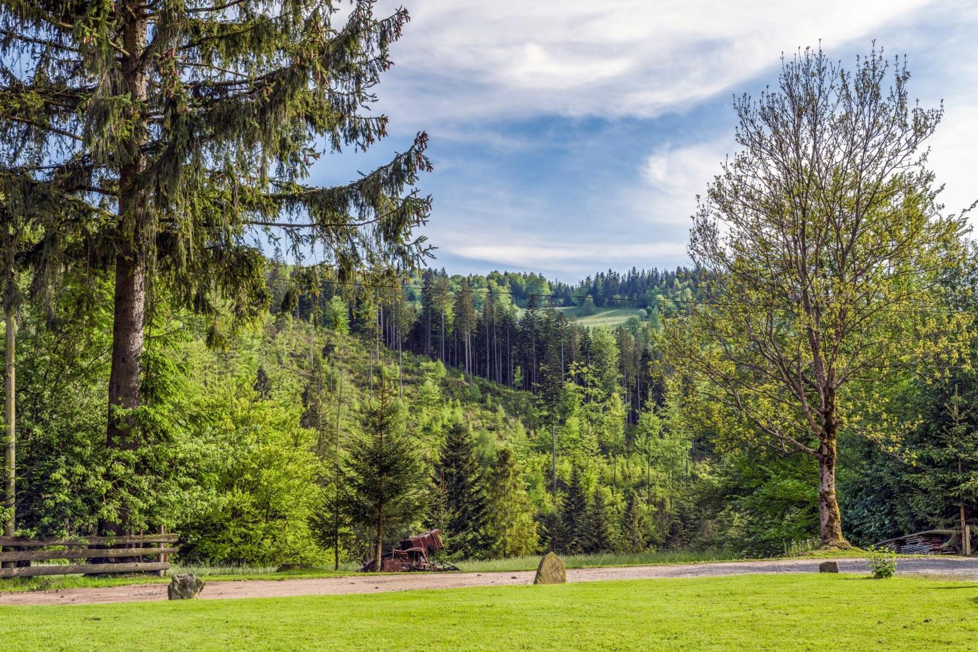 Pokoje U Marioli Wisła Exteriör bild